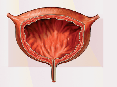 Signs of the cystitis